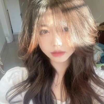 拯救林肯